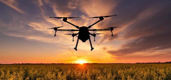 s&q__home_categoria_02